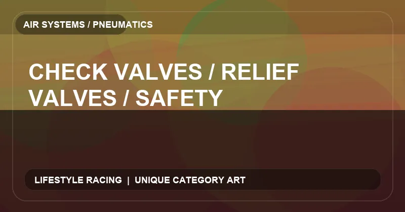 Check Valves / Relief Valves / Safety